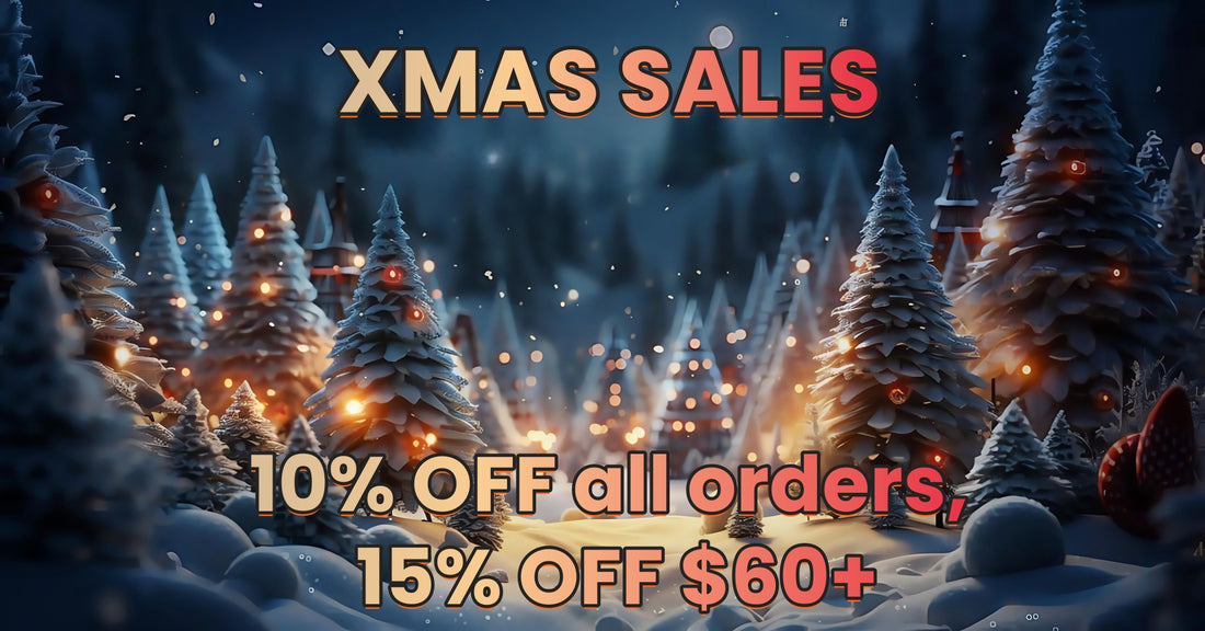 Hurry! Christmas Promo Will End Soon.