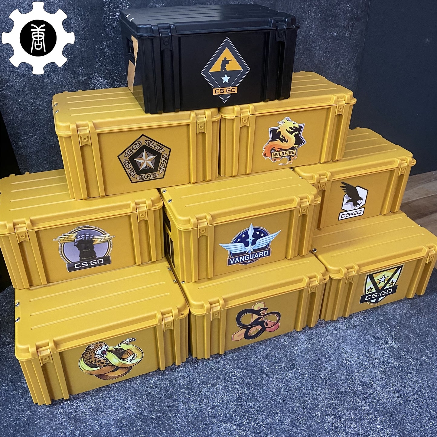 Gamma Case Mystery Box